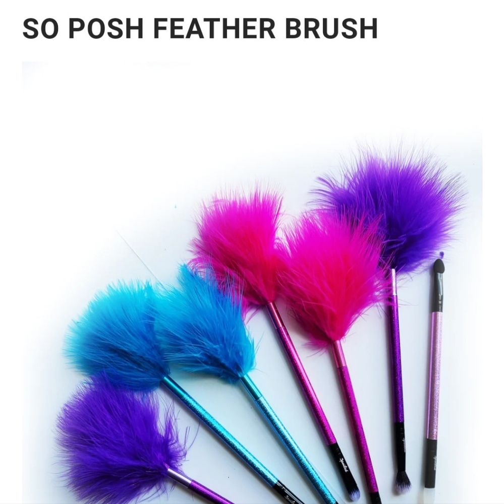 🖌 Feather Top Make-up Brushes 💗